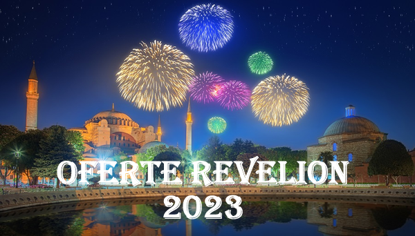 banner revelion 2023
